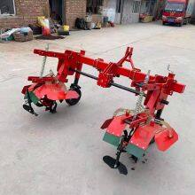 Potato Machine/Potato Growing Machine/Potato Planting Machine for Sale thumbnail-5