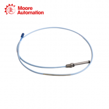 Bently Nevada 330106-XX-XX-10-02-00 MOD:145628-01 thumbnail-2