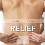OEM New Technology Back Pain Patch thumbnail-5