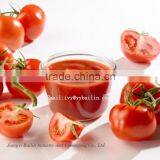 Hot Sell Canned Tomato Paste, Tomato Sauce, Tomato Ketchup thumbnail-1