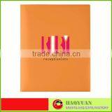 Promotional Plastic File Holder-HYFD014