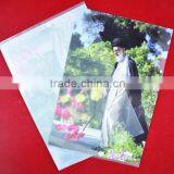 Guangzhou Hot Sale Custom 0.2mm Thick pp A4 Plastic Clear File Folder