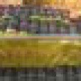 Incense Sticks - Raw Bamboo Sticks and Raw Agarbatti thumbnail-3