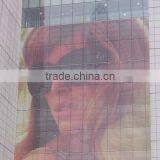 Top Quality Printing Advertising See Through Vinyl