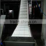 Food Grade Modular Belt With Baffle and Side Guide Lift Conveyor for Snack Food