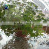 Acid Etched Tempered Glass Partitions for Bathroom Acid Etched Frosted Glass Office Partitions thumbnail-4