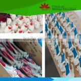 Hot Sale School Use Dog Ear Anatomy Model for Vet thumbnail-5