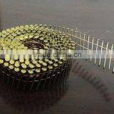 High Quality Free Sample Common Coil Nail thumbnail-1