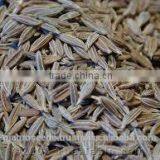 Cumin 99% Pure thumbnail-3