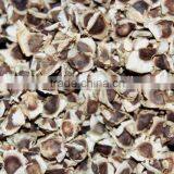 Moringa Oleifera Seeds Available... thumbnail-1