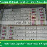 Fresh Sweet Red Grape for Export thumbnail-2