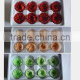 Wedding Favors Preserved Austin Rose Flower Wholesale Approximately 4.5cm Diameter thumbnail-2