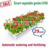 Widely Used Coffee Cup Shape Flower Pot thumbnail-2