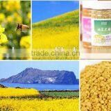 Natural Bee Pollen Powder for Feeding Bees