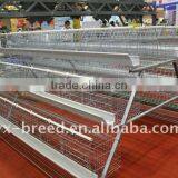 Poultry Farm Suppliers - Chicken,hatchery,baby Chicks