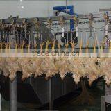 008618052092685 Poultry Chicken Slaughterhouse Equipment|High Quality Chicken Duck Broiler Slauhgtering Production Line thumbnail-3