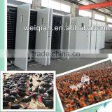 Large Egg Incubator WQ-33792