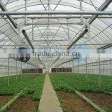 Greenhouse With Plastic Film Cover thumbnail-2