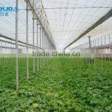 Baolida PC Sheet Greenhouse Polycarbonate Commercial Greenhouse thumbnail-4