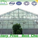High Light Transmission Multi-span Glass Greenhouse thumbnail-3