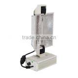 Special Double Host Grow Light for Plants thumbnail-5