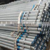 Animals Fencing Pre Galvanzied Pipes thumbnail-1