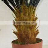 SJ0301115 Artificial Cheap Cycads Plant thumbnail-4