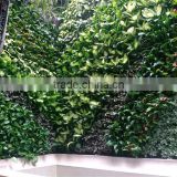 Hot sales artificial living wall,plastic garden walls,special design fake plants wall