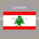 Wholesale Custom Arab Flag Design T-shirt Summer 2016 Fancy Lebanon Flag Boys Arab t Shirt thumbnail-2