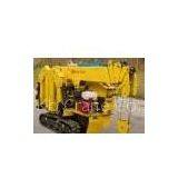 Electric Drive or Oil Drive Mini Crawler Crane thumbnail-1