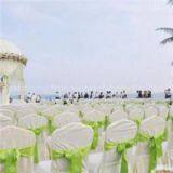 Wedding Chair Cover thumbnail-1