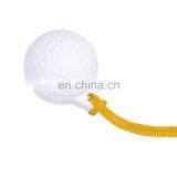 Plastic Golf Practice Ball With Rope Hit Swing Training Aid thumbnail-5