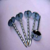 Galvanized Umbrella Head Roofing Nails thumbnail-4
