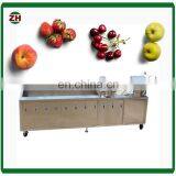 Fruit and Vegetable Processing Machines/food Production Line Equipment/fruit And Vegetable Washing Machine thumbnail-6