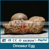 JLDE-0226 Growing Dinosaur Eggs Fossil for Sale