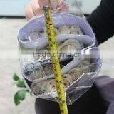 Top Grade Vendela White Rose for Wedding thumbnail-3