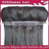 Cheap 100% India Human Hair With Lace Any Color Virgin Indian Hair Clip in Extensions 5 Clips100g/set
