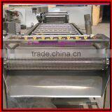 Bubble Type Kelp Washing Machine|Mushroom and Bean Sprout Cleaning Machine thumbnail-3