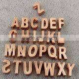 OEM DIY JEWELRY Silver/Gold/Rose Gold Slide Initial Letter Charms thumbnail-3