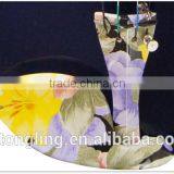 5 Strings Black Violin TL-DS004 thumbnail-3