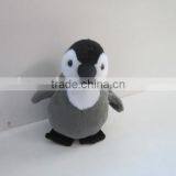 Grey Walking and Flapping Penguin