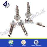 China Supplier Best Sale in Wood Screw