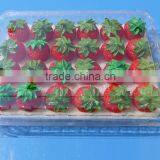 Punnet Clamshell Blister Plastic Packaging Container 500 Gram thumbnail-6