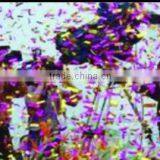Stage Confetti Effect Machine/spray Confetti Machine/confetti Cannon thumbnail-2