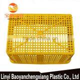 Plastic Fruit Basket for Orange Transportation thumbnail-4