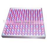 CE, ROHS, FCC. PSE Approvied High Quality High Bright 225 LED Grow Light