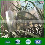Clear Glassfiber Reinforced Tile for Greenhouse Making thumbnail-6