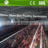 Automatic poultry cage chicken poultry layer cage for sale