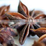 Star Aniseed thumbnail-1