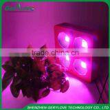 Spain LED Grow Light COB 800W 400W Farming LED Grow Lights for Commercial Purpose thumbnail-6